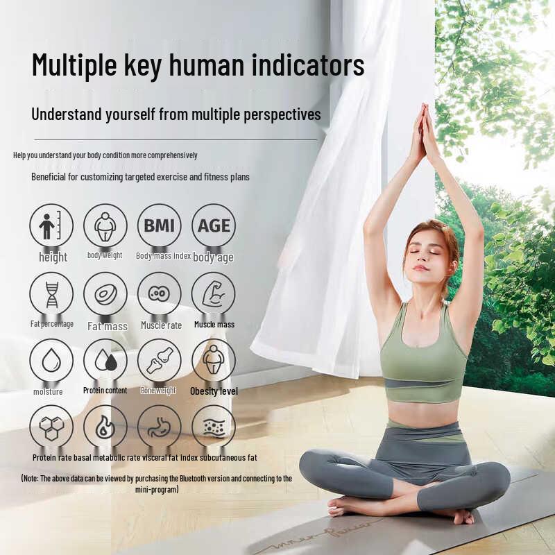 Heng Hao Smart Ultrasonic Body Composition Scale