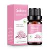 10ml Car Perfume Water-soluble Air Freshener Aroma Diffuser Air Humidifier Essential Oils Freshener Scents Fragrance Oil Perfume