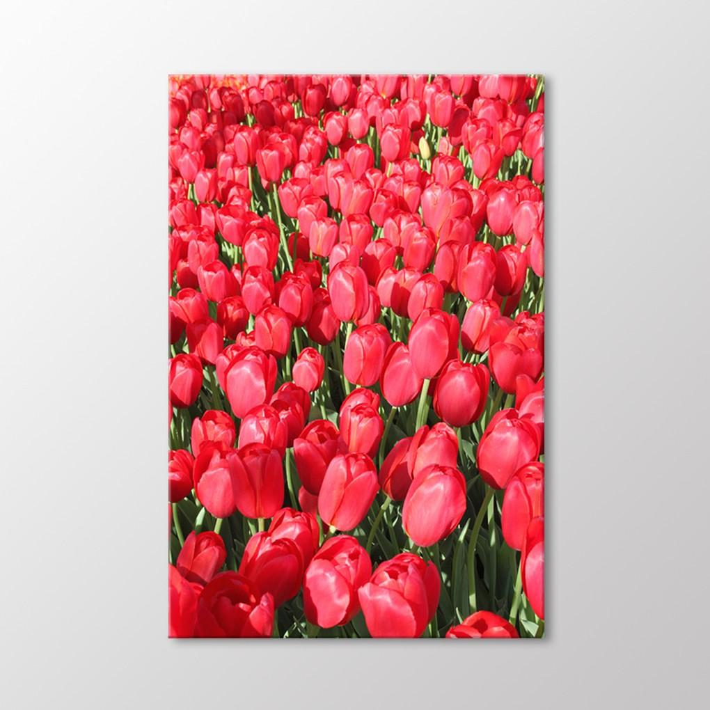 

Стол тюльпанов