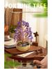 Natural Crystal Money Tree of Life Home Office Decoration Ornament