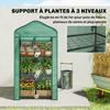 Garden Greenhouse, 3-Tier Shelves, PE Cover, Steel Frame, 59 X 39 X 127 Cm, Green