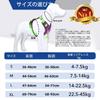 Recommended for Shiba XINIDEA Sturdy and Durable Dog Harness with Name Tag Attachment on the Suitable for and Extra Large Includes Choking Adjustable