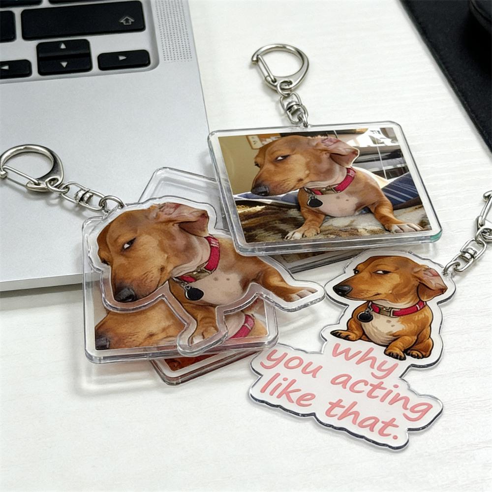 Funny Suspicious Dog Meme Face Keychains for Accessories Bag Fun Side Eye Puppy Dachshund Keyrings Jewelry Fans Friends Gifts