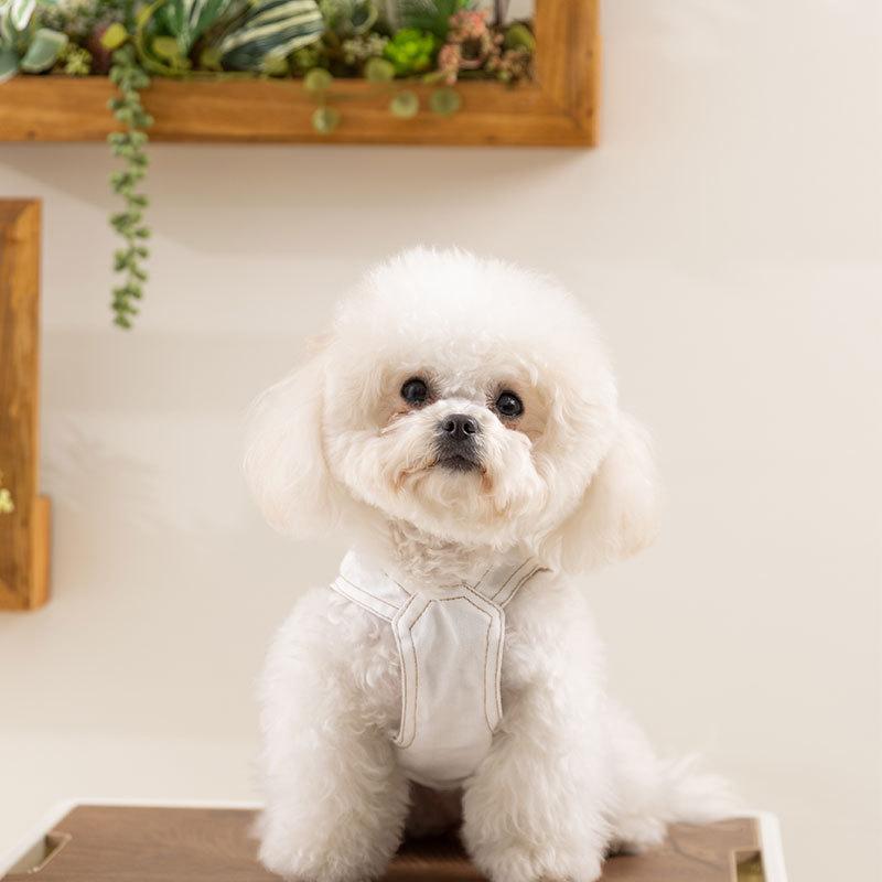 25 Years of New Spring and Summer Dog Clothes, Small and Medium-sized Dog Denim Two-piece Vest, Teddy Pomeranian Pet Clothing