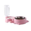 Pet Water & Food Dispenser: No Mess Cat & Dog Bowl