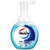 Walch Healthy Care Foaming Hand Soap (2-Pack)
