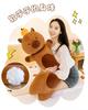 Capybara Long Body Pillow - Plush Toy and Sleeping Leg Cushion