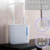 APIX INTL APIX Upper Water Supply Ultrasonic Twin Humidifier Large Capacity Tank Aroma Automatic Off Timer Powerful Humidification 4.5L AHD-200WH
