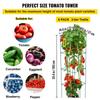 Tomato Cages, 14.6" X 14.6" X 39.4", 6 Packs Square Plant Support Cages, Green PVC-Coated Steel Tomato Towers for Climbing Vegetables, Plants,