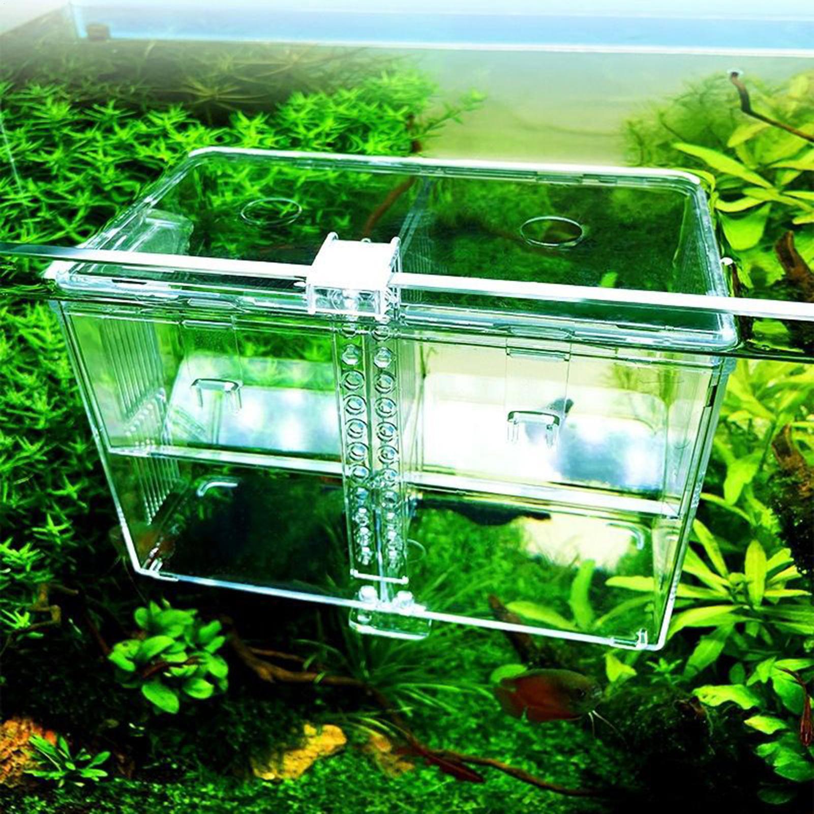 

Aquarium Isolation Box Fish Tank Small Fry Breeding Box Multifunction Spawning Hatching Room Aquarium Accessories Fish Supplies China Mainland