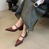 Retro Style Women Mary Jane Shoes New Fashion Pointed Toe Thick Heel Ladies Single Shoes Comfortate Office Pumps Footwear