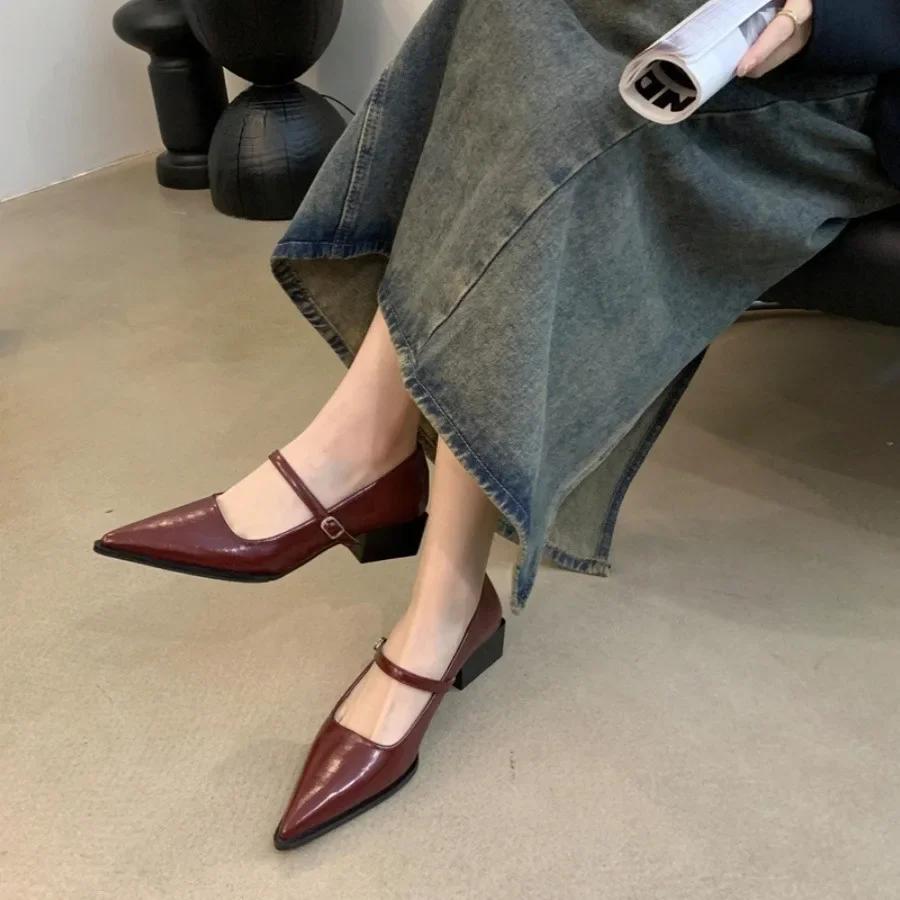 Retro Style Women Mary Jane Shoes New Fashion Pointed Toe Thick Heel Ladies Single Shoes Comfortate Office Pumps Footwear