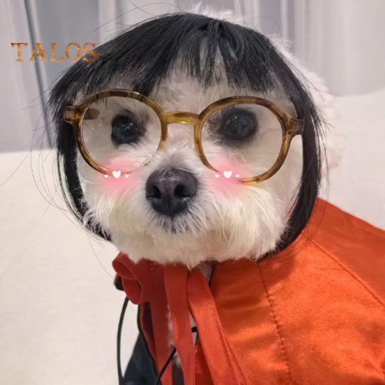 Perruque amusante pour animal de compagnie, déguisement de cosplay, aspect réaliste, ajustable, facile à nettoyer, pour chien et chat de taille moyenne et grande taille, décoration