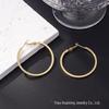 Silver Needle Circle Earrings, Fashionable High-End Copper Ear Hoops, Light Luxury, Versatile Jewelry Accessory.
