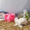 High Quality Silicone Ornament Mold for Crafting Anole Plaster Figurines and DIY Enthusiasts and Home Decors