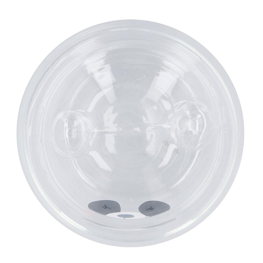 Cute Double Wall Glass Mug 250ML Heat Resistant Bear Appearance Coffee Glass Cup for Home Office Library Gifts Smile