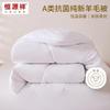 Hengyuanxiang Anti-bacterial 100% Pure Wool Winter Quilt