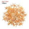 Decoration DIY Crafts Mixed Starfish-Natural Handmade Accessories Seashells Starfish Ocean Decor