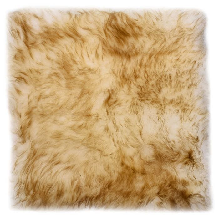Coussin de chaise - vidaXL - Mouton véritable - 40x40 cm - Marron - Intérieur (x2)