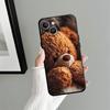 Funda Phone Cover Case for Apple iPhone 17 Pro Max Air 16 XR XS MAX 12 14 11 15 Pro 7 8 13 Simple Bear