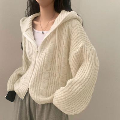Autumn and Winter Korean Version Lazy Style Loose Fried Dough Twists Double Zip Hooded Long Sleeve Knitting Sweater Cardigan Coat Women