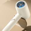 Hair Fashionable Dryer Ttype 3color Highpower Hairs Salon 220v Household
