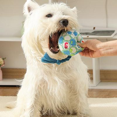 Köpek – Köpek oyuncakları