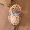Dog clothes autumn and winter cartoon Bigbear cat Pomeranian puppet teddy small dog velvet warm pet vest