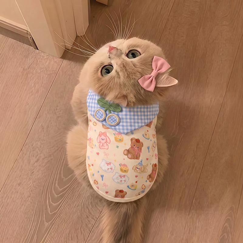 Dog clothes autumn and winter cartoon Bigbear cat Pomeranian puppet teddy small dog velvet warm pet vest