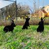 Rabbit/Squirrel Figurines Hollow Dust Proof Wrought Iron Realistic Rabbits Art Sculpture for Garden Party Decor Metal Home Yard