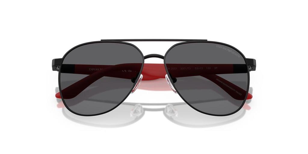 Emporio Armani Sunglasses 0EK2001 Matte Black 53