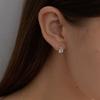 [SILVER925]Water Drop Cubic Earring
