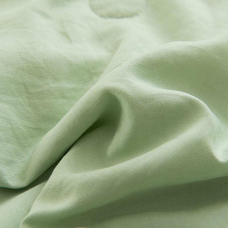 FangEn Mugwort Mosquito Repellent Quilt