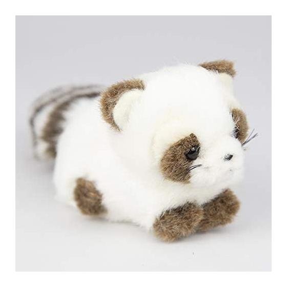 

Takenoko Puchi Puchi Land A Raccoon White Stuffed Toy 58434