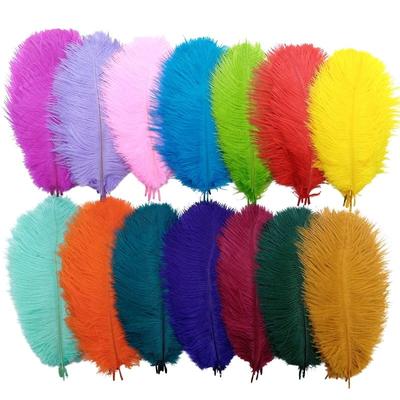 10Pz Piume di Struzzo Centrotavola Matrimonio Per Lavori a Maglia Artigianato Materiale Decorazione Fai da Te Carnevale Accessori Copricapo Piume