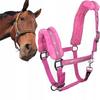 Reitsport – Zaumzeug & Zügel