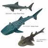 Carolata 3D Illustrated Guide to Sharks (12 Figures / Includes Instruction Manual and Stand) Realistic Toy (Educational Toy) Birthday Gift (Food Sanit