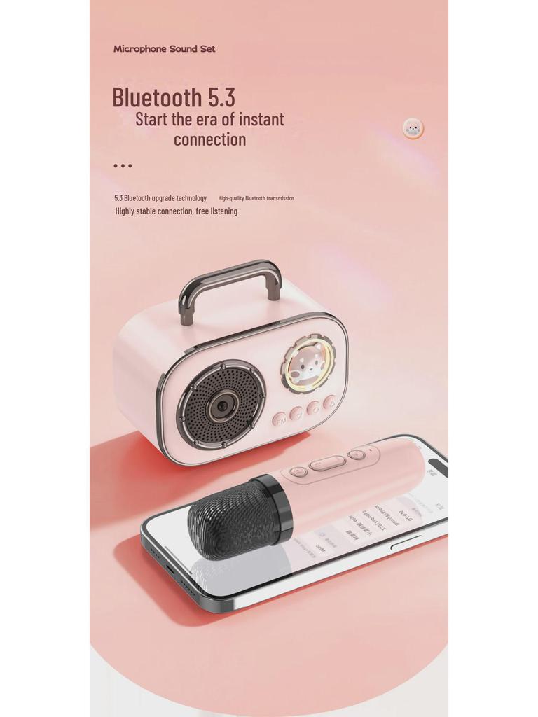 Portable Bluetooth Karaoke Speaker with Dual Microphones for Indoor and Outdoor Use