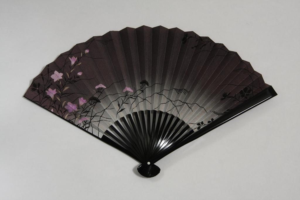 Kyoto fan handmade by Kyoto black fan bag paper box included [Hasegawa] "Kikyou" double-sided pattern, craftsmen, fan, embroidered, included,