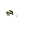 Blessed Greenery Bonsai Sculpture Faux Plant Desk Display Resin Artwork Decorative Centerpiece Mary