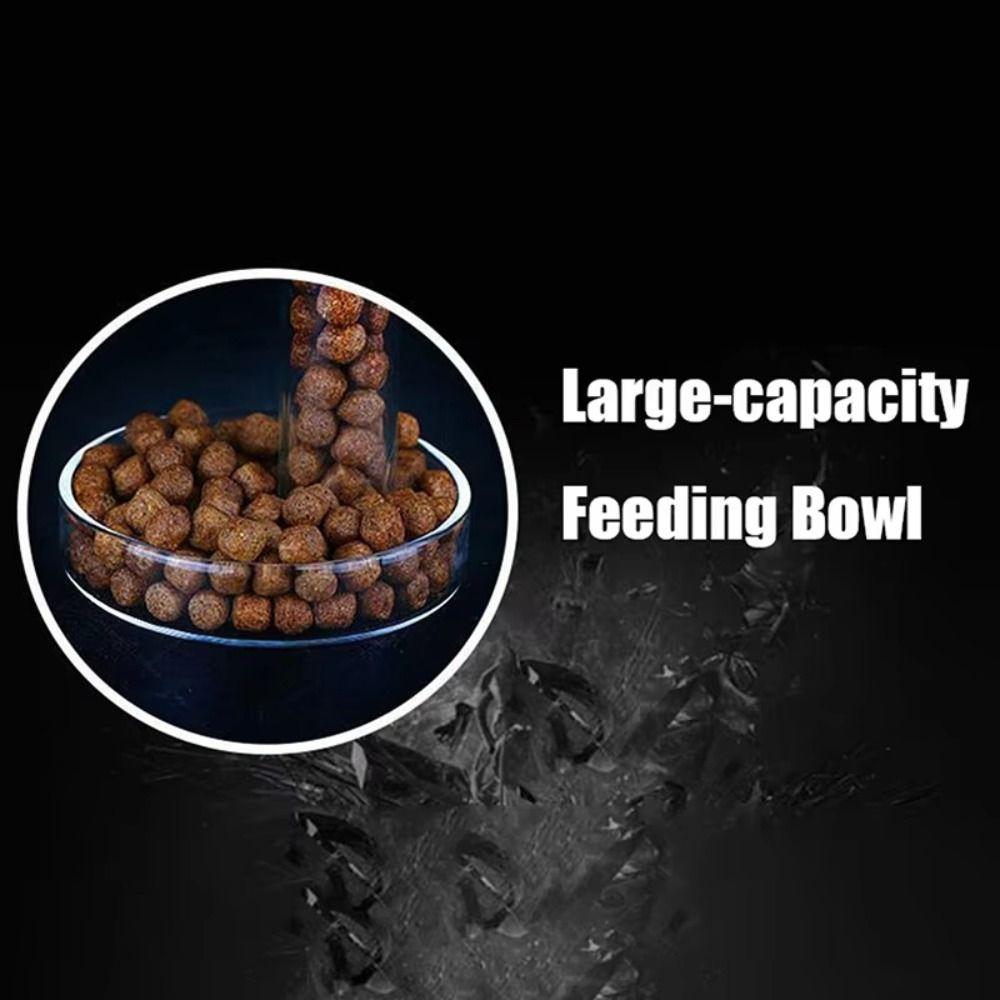 With Suction Cup Aquarium Fish Tank Feeder Set Transparent Shrimp Feeding Tube New Feeder Bowl