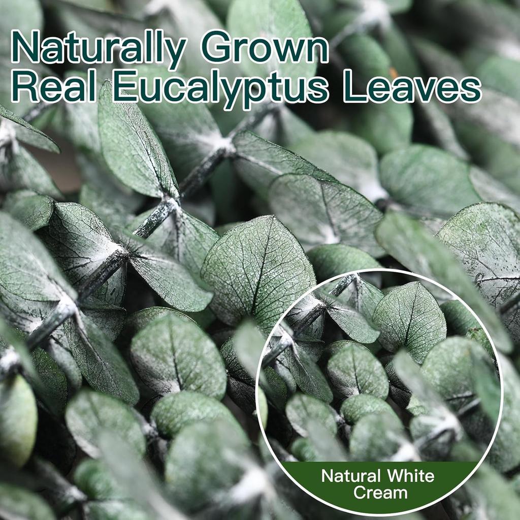 20 PCS Dried Eucalyptus Stems, 17'' Natural Real Live Greenery Eucalyptus Leaves Branches Hanging Shower, Preserved Fresh Eucalyptus Plant for SPA