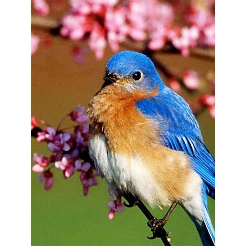 

Новый 5D DIY алмазная живопись птица Алмазная вышивка животные вышивка крестиком полная квадратная круглая дрель ремесла домашний декор ручной подарок Full Round 30x40CM