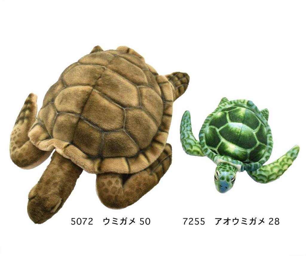 BH7255 HANSA Green Turtle 28