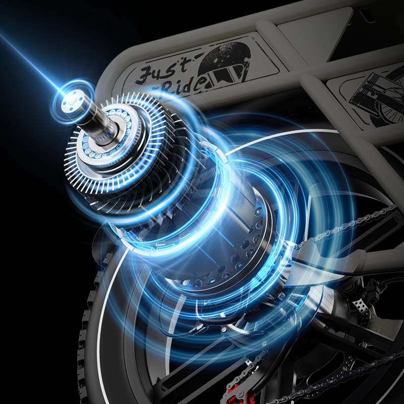 Potenza del motore della bicicletta elettrica EUYBIKE W1: 250W, Batteria: 2*48V30AH, pneumatici CST 20" x 4.0", Velocità massima: E-bike Utilitaria 25 KM/h