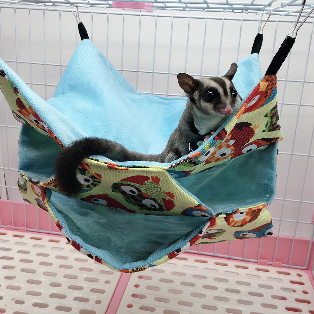 do chinchillas like hammocks