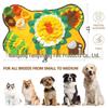 Dog Sniffing Mat: Brain Training & Slow Feeder for Pets
