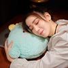 Non-Toxic Kawaii Animal Bear Rabbit Dinosaur Pig Chick Plush Toys Cartoon Stuffed Soft Pillow Back Sofa Cushion