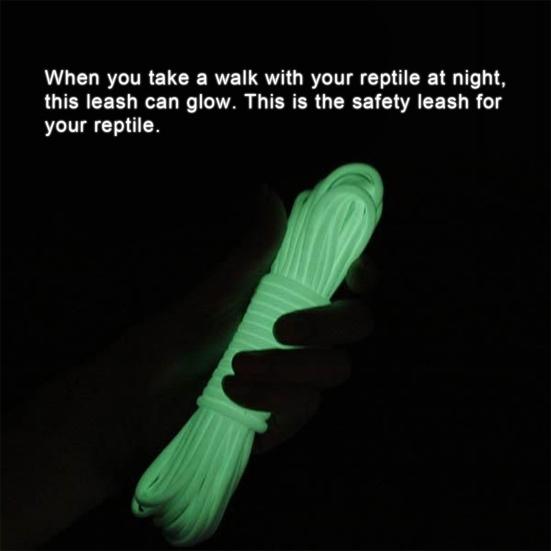 Yousheng Small Animal Leash Adjustable Night Luminous Portable Lizard Hamster Rabbit Nylon Traction Rope for Outdoor