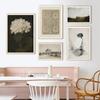 Vintage Plakáty Evropa Galerie Zeď Tisk Retro Květinová Skica Umění Plátno Malba Obrázek Neutrální Francouzský Venkovský Domov Dekorace